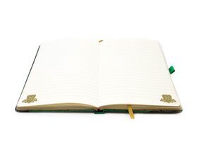 Harry Potter Intricate Houses Slytherin - notes A5