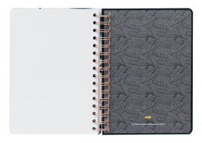 My Hero Academia - notes A5