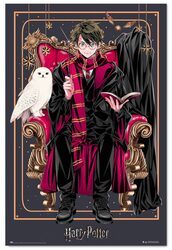 Harry Potter Wizard Dynasty - plakat