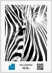 Rama aluminiowa srebrna B2