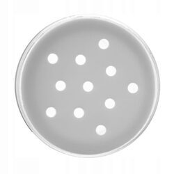 Pojemniki stojak obrotowy półka na przyprawy