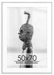 Rama aluminiowa srebrna B2