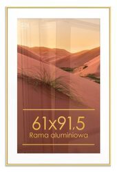 Rama aluminiowa złota