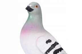 Gołąb ozdoby do ogrodu dekoracje figurki ogrodowe