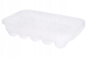 Pojemnik na jajka do lodówki plastikowy 15 szt.