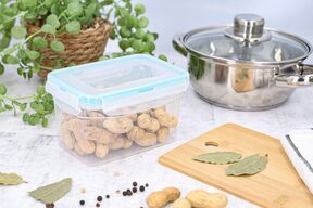 Pojemnik na żywność plastikowy śniadaniowy 0,7 l