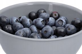 Miska miseczka na przekąski kuchenna 0,5l szara plastikowa lekka ?13 cm