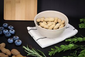 Miska MISECZKA kuchenna mała 0,5l plastikowa owoce przekąski chipsy 13 cm