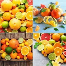 WYCISKARKA DO CYTRUSÓW soków cytryn pomarańczy limonek owoców stożek