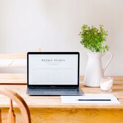 EUKALIPTUS SZTUCZNY bukiet 37 cm roślina dekoracyjna do stroików jak żywe