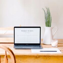 TRAWA SZTUCZNA ozdobna liście 50 cm do stroików na cmentarz jak żywe