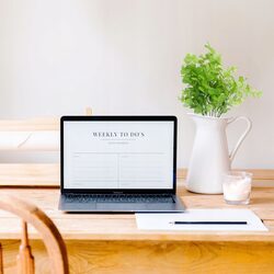 EUKALIPTUS DEKORACYJNY bukiet sztuczne kwiaty liście wazonu jak żywe