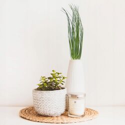 TRAWA SZTUCZNA ozdobna liście 50 cm do stroików na cmentarz jak żywe