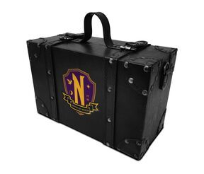 Wednesday Ravens - zestaw prezentowy